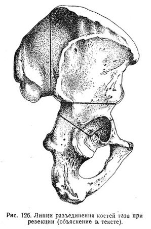 Екатерина Каликинская - Святитель Лука: факты, документы, воспоминания