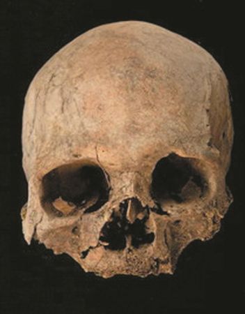 Анатолий Клёсов - Занимательная ДНК-генеалогия. Новая наука дает ответы