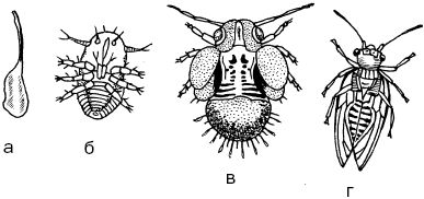 Светлана Ермакова - Календарь современного садовода. Защита сада и огорода от...