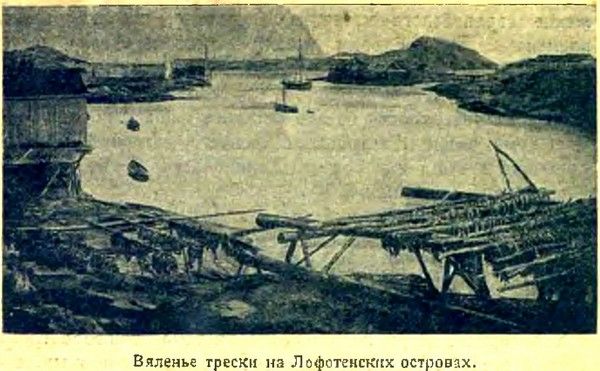 Николай Лебедев - Арктика