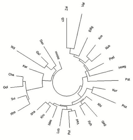 Анатолий Клёсов - Занимательная ДНК-генеалогия. Новая наука дает ответы