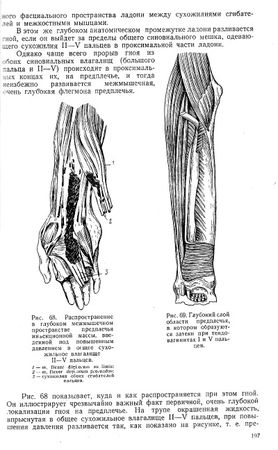 Екатерина Каликинская - Святитель Лука: факты, документы, воспоминания