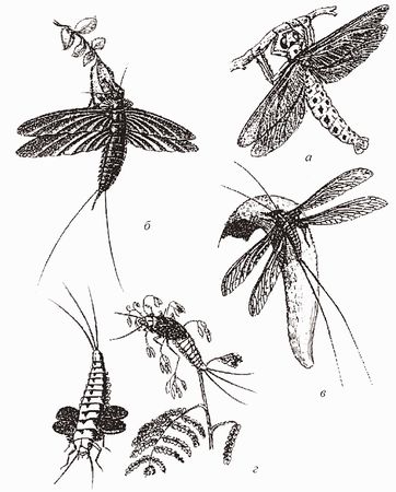 Кирилл Еськов - Удивительная палеонтология. История земли и жизни на ней