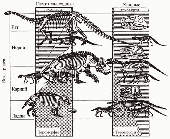 Кирилл Еськов - Удивительная палеонтология. История земли и жизни на ней