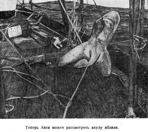 Уильям Уиллис - Возраст не помеха