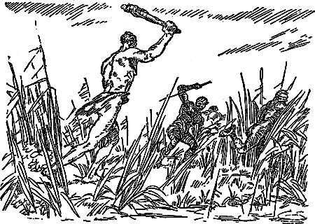 Жозеф Рони-Старший - Борьба за огонь