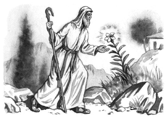 Владимир Одоевский - Городок в табакерке (сборник)