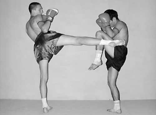 Бим Бэкман, Аман Атилов - Бойцовский клуб: боевой фитнес для мужчин