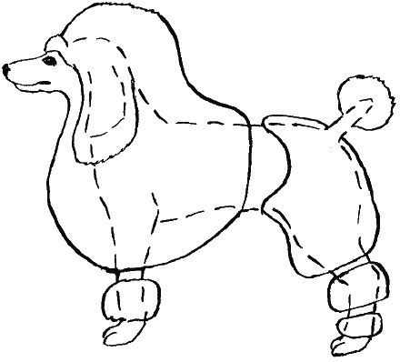 М. Колов, Е. Куприянова - Парикмахерская для собак и кошек