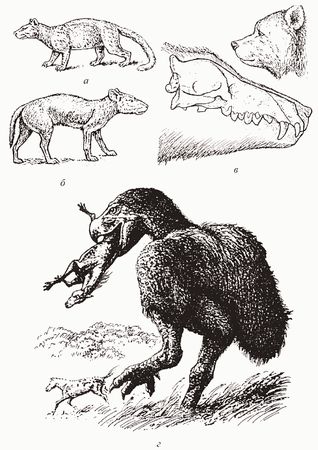 Кирилл Еськов - Удивительная палеонтология. История земли и жизни на ней