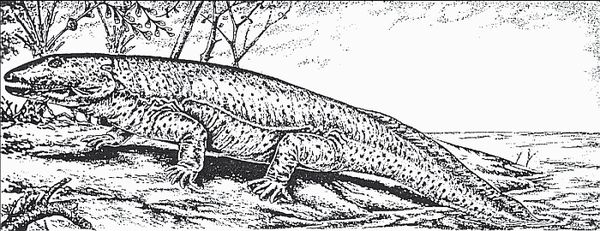 Кирилл Еськов - Удивительная палеонтология. История земли и жизни на ней