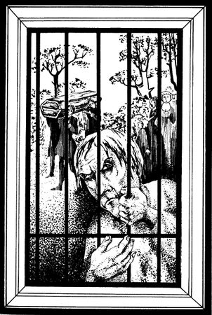 Александр Дюма - Графиня де Шарни