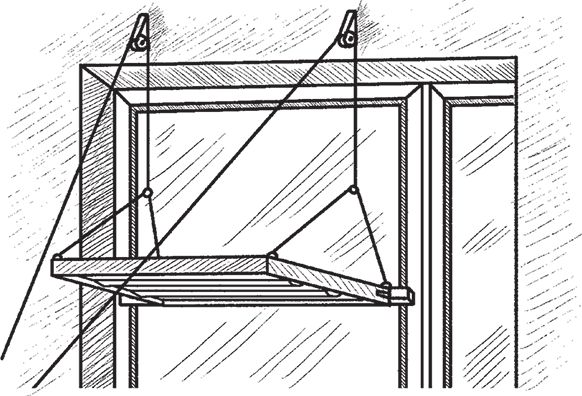 Сергей Кашин - Овощи, ягоды, фрукты. Умная рассада и бережное хранение