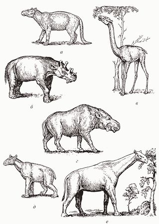 Кирилл Еськов - Удивительная палеонтология. История земли и жизни на ней