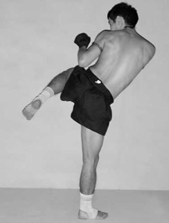 Бим Бэкман, Аман Атилов - Бойцовский клуб: боевой фитнес для мужчин