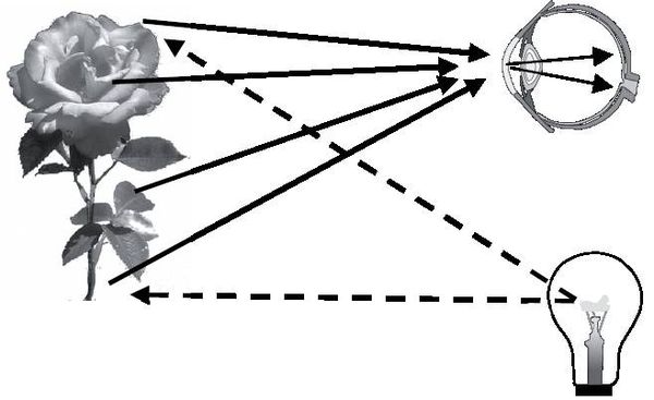 Майкл Файер - Абсолютный минимум. Как квантовая теория объясняет наш мир