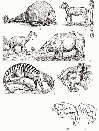 Кирилл Еськов - Удивительная палеонтология. История земли и жизни на ней