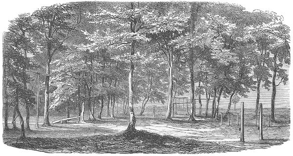 Кристиан Зальцманн - Книжка для раков. Книжка для муравьев (сборник)