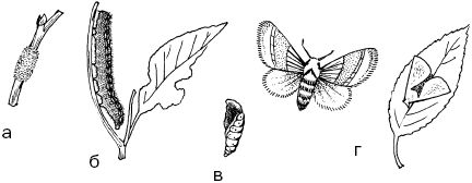 Светлана Ермакова - Календарь современного садовода. Защита сада и огорода от...