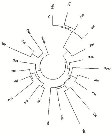 Анатолий Клёсов - Занимательная ДНК-генеалогия. Новая наука дает ответы