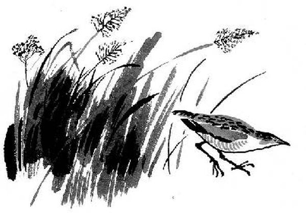 Виктор Астафьев - Конь с розовой гривой (сборник)