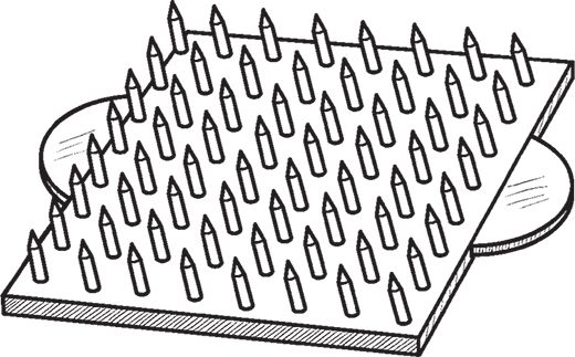 Сергей Кашин - Овощи, ягоды, фрукты. Умная рассада и бережное хранение