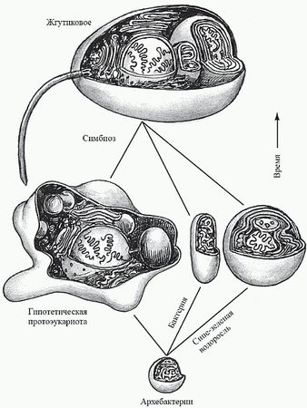 Кирилл Еськов - Удивительная палеонтология. История земли и жизни на ней