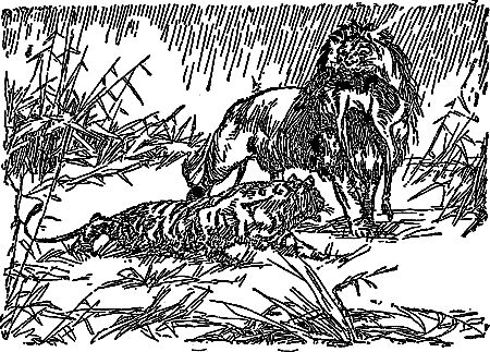 Жозеф Рони-Старший - Борьба за огонь