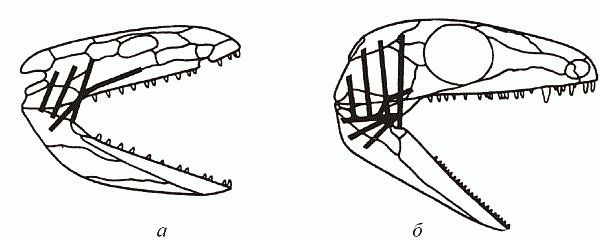 Кирилл Еськов - Удивительная палеонтология. История земли и жизни на ней
