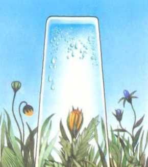 Ауст Зигфрид - Погода