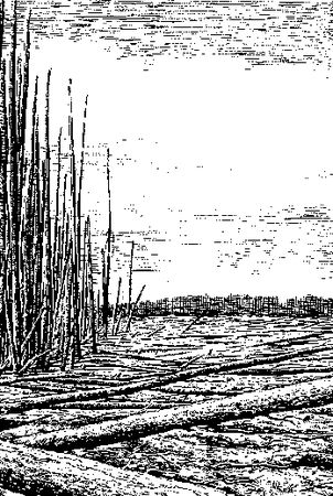 Полина Денисова - Энциклопедия катастроф