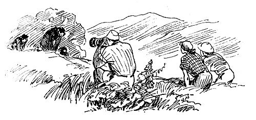 Дайан Фосси - Гориллы в тумане