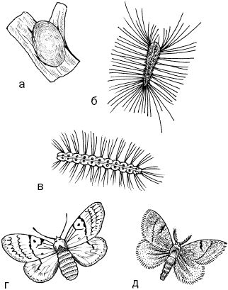 Светлана Ермакова - Календарь современного садовода. Защита сада и огорода от...