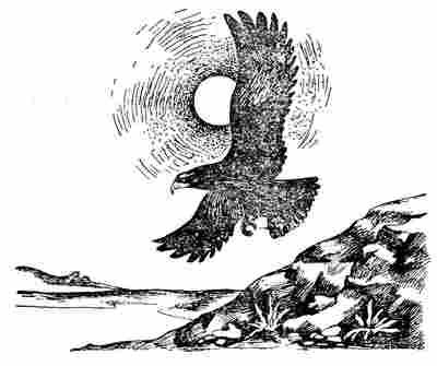 Чарлз Робертс - Лесной бродяга (рассказы и повести)