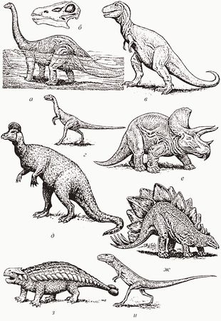 Кирилл Еськов - Удивительная палеонтология. История земли и жизни на ней