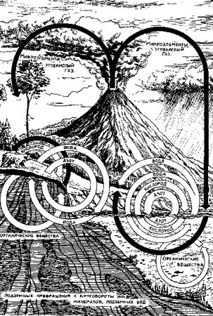 Полина Денисова - Энциклопедия катастроф