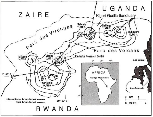 Дайан Фосси - Гориллы в тумане