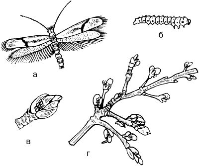 Светлана Ермакова - Календарь современного садовода. Защита сада и огорода от...
