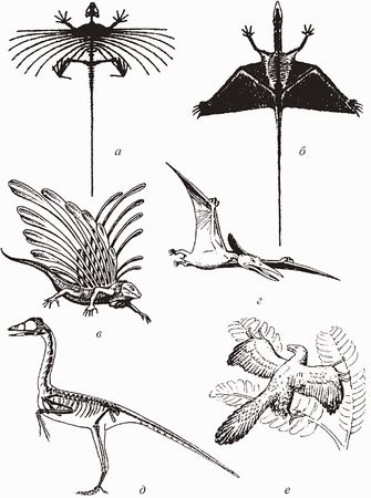 Кирилл Еськов - Удивительная палеонтология. История земли и жизни на ней