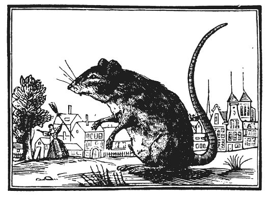 Кристиан Рейтер - Шельмуфский