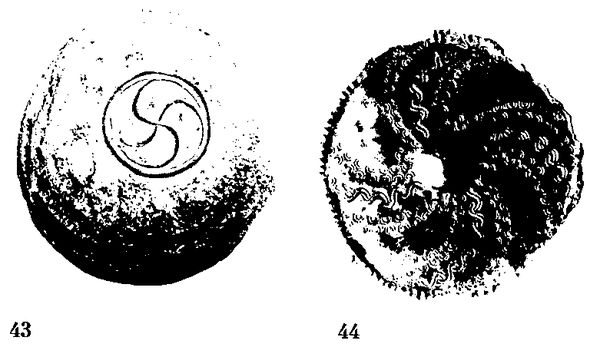 Хильда Дэвидсон - Древние скандинавы. Сыны северных богов