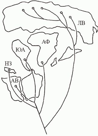 Кирилл Еськов - Удивительная палеонтология. История земли и жизни на ней