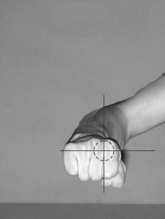 Бим Бэкман, Аман Атилов - Бойцовский клуб: боевой фитнес для мужчин