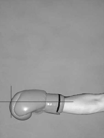 Бим Бэкман, Аман Атилов - Бойцовский клуб: боевой фитнес для мужчин