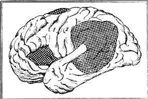 Марионилла Кольцова - Ребенок учится говорить.
