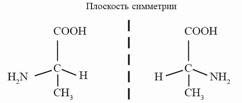 Кирилл Еськов - Удивительная палеонтология. История земли и жизни на ней