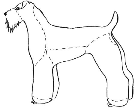 М. Колов, Е. Куприянова - Парикмахерская для собак и кошек
