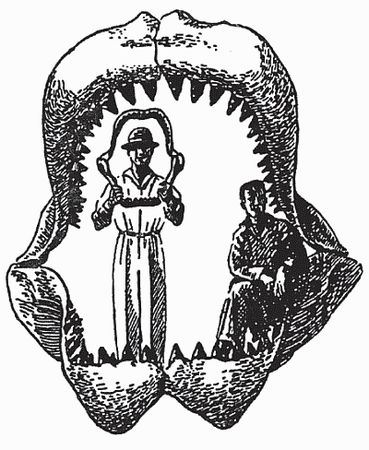 Кирилл Еськов - Удивительная палеонтология. История земли и жизни на ней