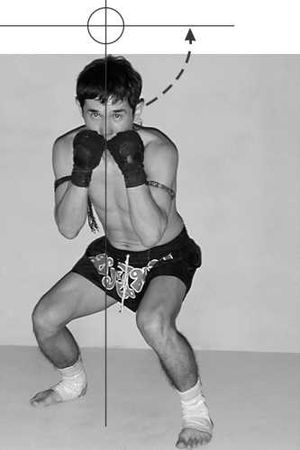 Бим Бэкман, Аман Атилов - Бойцовский клуб: боевой фитнес для мужчин