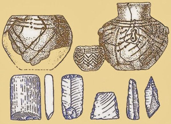 Анатолий Клёсов - Занимательная ДНК-генеалогия. Новая наука дает ответы